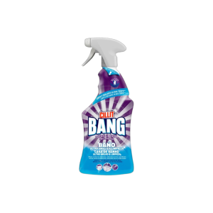 Limpeza Casa de Banho