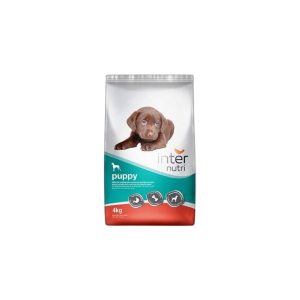 Comida Seca para New Puppy
