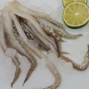 Tentáculos de Pota